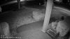 Front Door 2019-2-12 10.09.23.136 PM.jpg