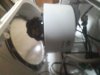 20190409_065944.jpg