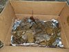 20171223_121254.jpg