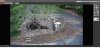 owlcam showing garden pond.jpg