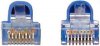 Cat5-Cat6-patch-cable-diffe.jpg