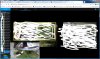Split_BI_Web.jpg