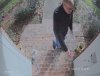 FRONTDOOR STEVE JOBS VOTER.jpg