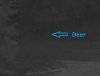 deer.jpg