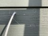 IMG_0586.jpeg