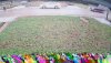 FrontYard.20191228_150102_757147.jpg