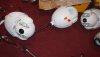 DSC09579.JPG