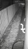 IMG_6340.jpeg
