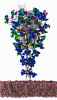 glycan 60.gif