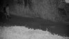 cap_Cam26.20200527_232000_1_00_00_15_01.jpg