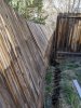 IMG_20200323_180421.jpg