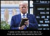 Trump-Bible.jpg