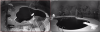 1594990301297.png