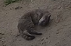 1595867486972.png