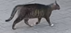 1595867677298.png