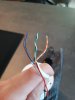 20201205_095955.jpg