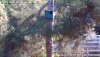 RLC-411_Daytime.jpg