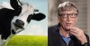 cow-bill-gates.jpg