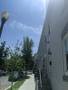 PXL_20210423_171531995.jpg
