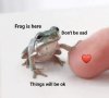 Frog is Here.jpg