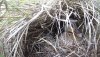 TC.20210414_174312505.11.jpg