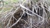 TC.20210414_174428269.13.jpg
