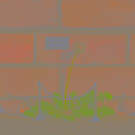 ERGID