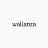 wallanzawallpaper