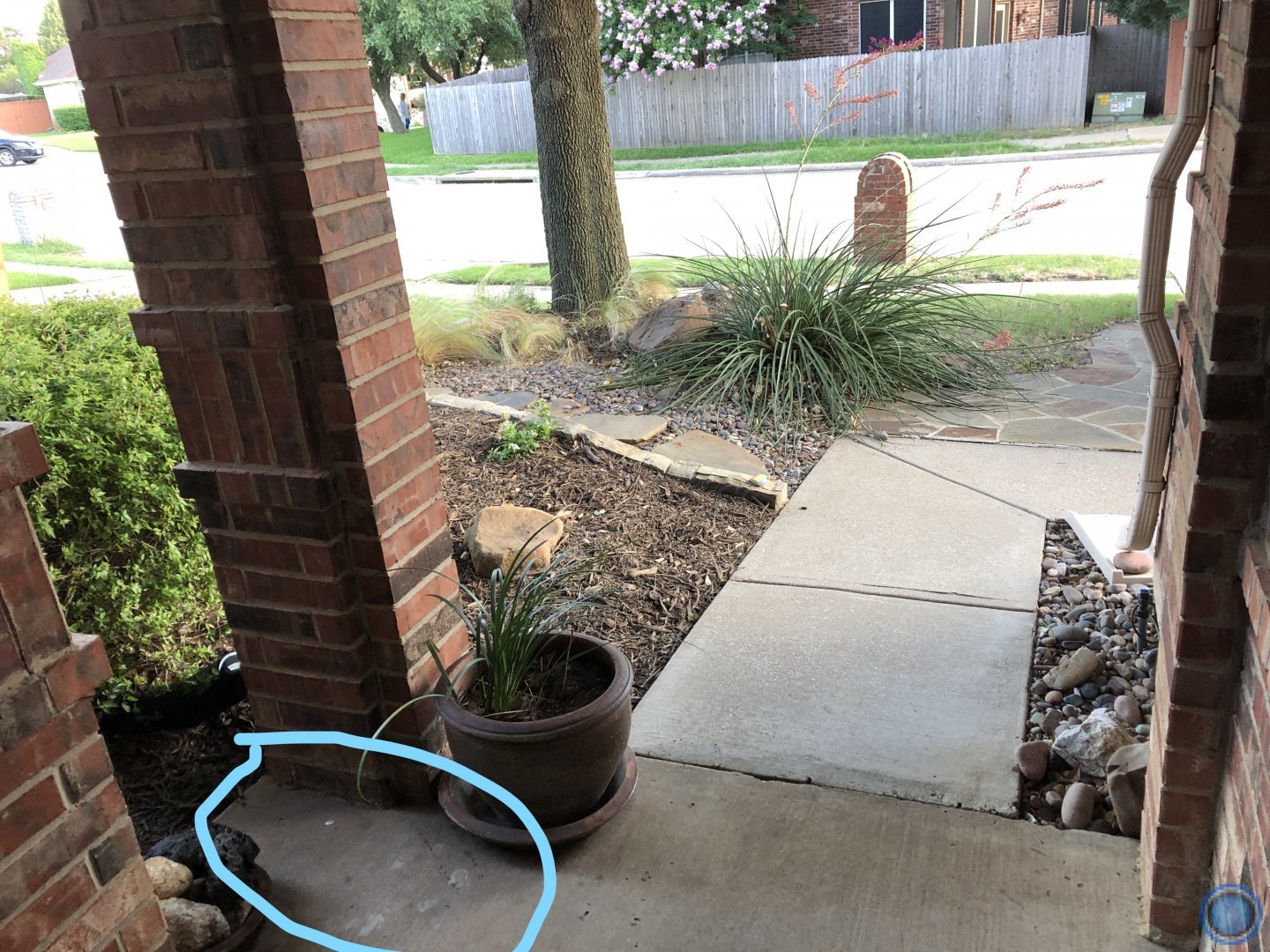 doorstep camera